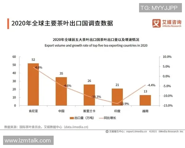 深圳网球队比赛经验分析与数据表现研究报告